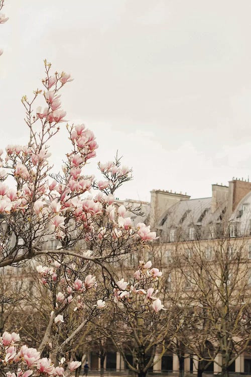 Paris Spring View