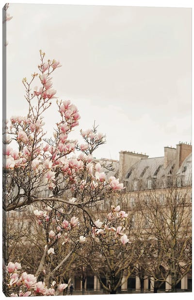 Paris Spring View Canvas Art Print - Magnolia Art