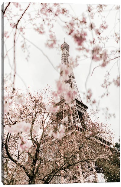 Paris In Bloom Canvas Art Print - Tower Art