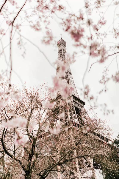 Towers: Paris In Bloom by Grace Digital Art Co
