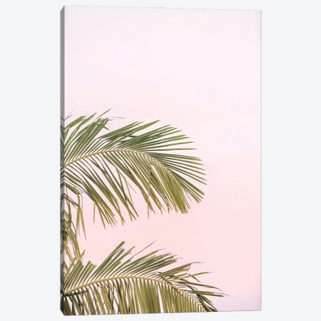 Pink Palms Canvas Print #RAB257} by Ruby and B Canvas Art