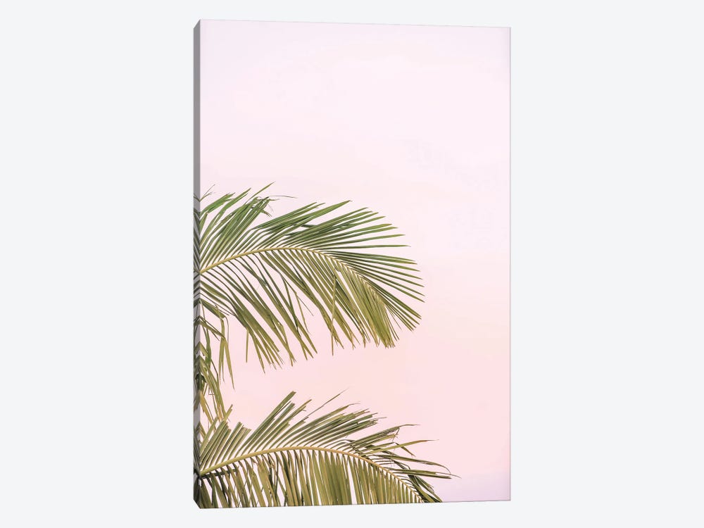 Pink Palms by Grace Digital Art Co 1-piece Canvas Art