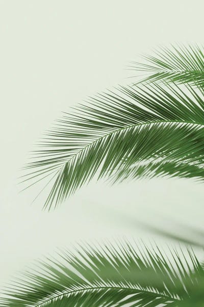 Mint Palms by Grace Digital Art Co art print