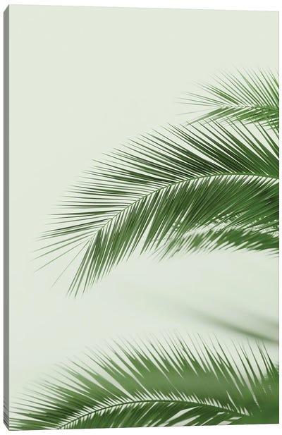 Mint Palms Canvas Art Print - Beach Vibes