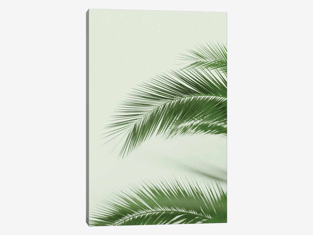 Mint Palms by Grace Digital Art Co 1-piece Canvas Print