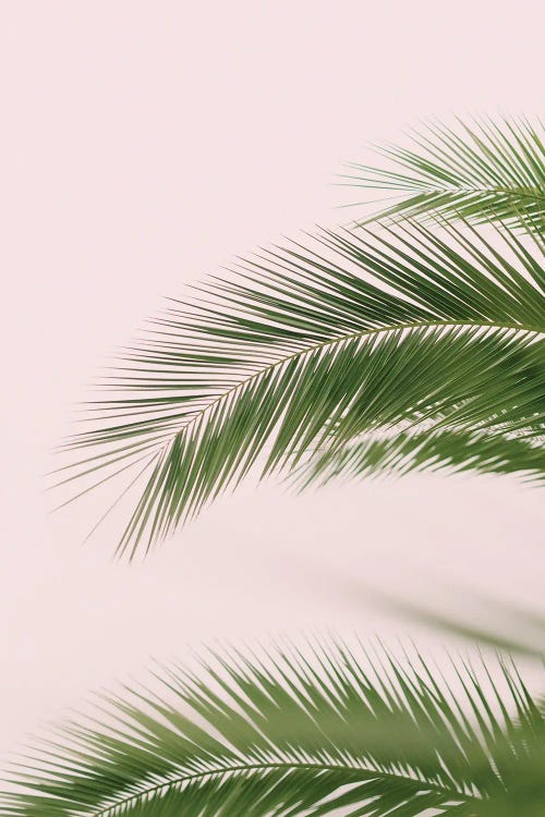 Pink And Green Palm Tree by Grace Digital Art Co wall art