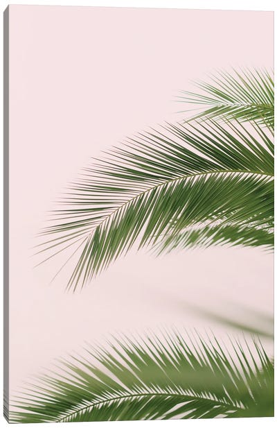 Pink And Green Palm Tree Canvas Art Print - Beach Vibes