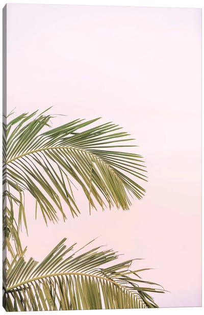 Sunset Palm Leaves Canvas Art Print - Beach Vibes