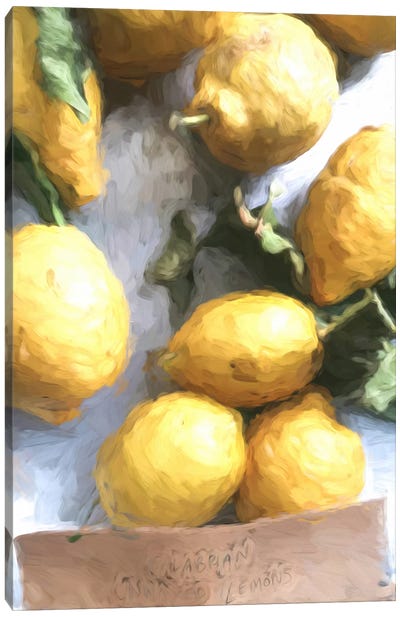 Lemon Painting II Canvas Art Print - Lemon & Lime Art