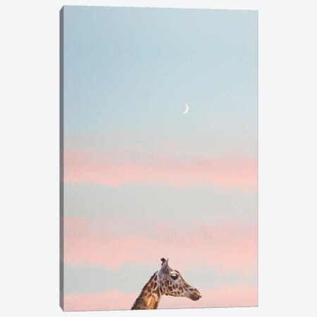 Giraffe At Sunset Canvas Print #RAB26} by Grace Digital Art Co Canvas Print