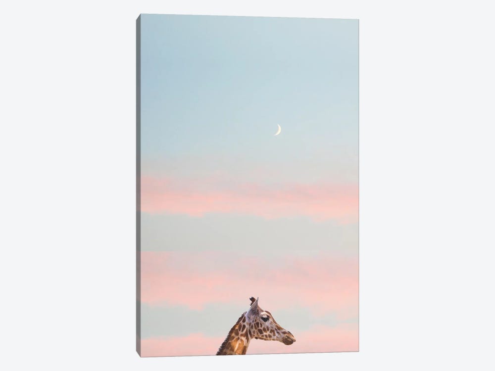 Giraffe At Sunset by Grace Digital Art Co 1-piece Canvas Artwork