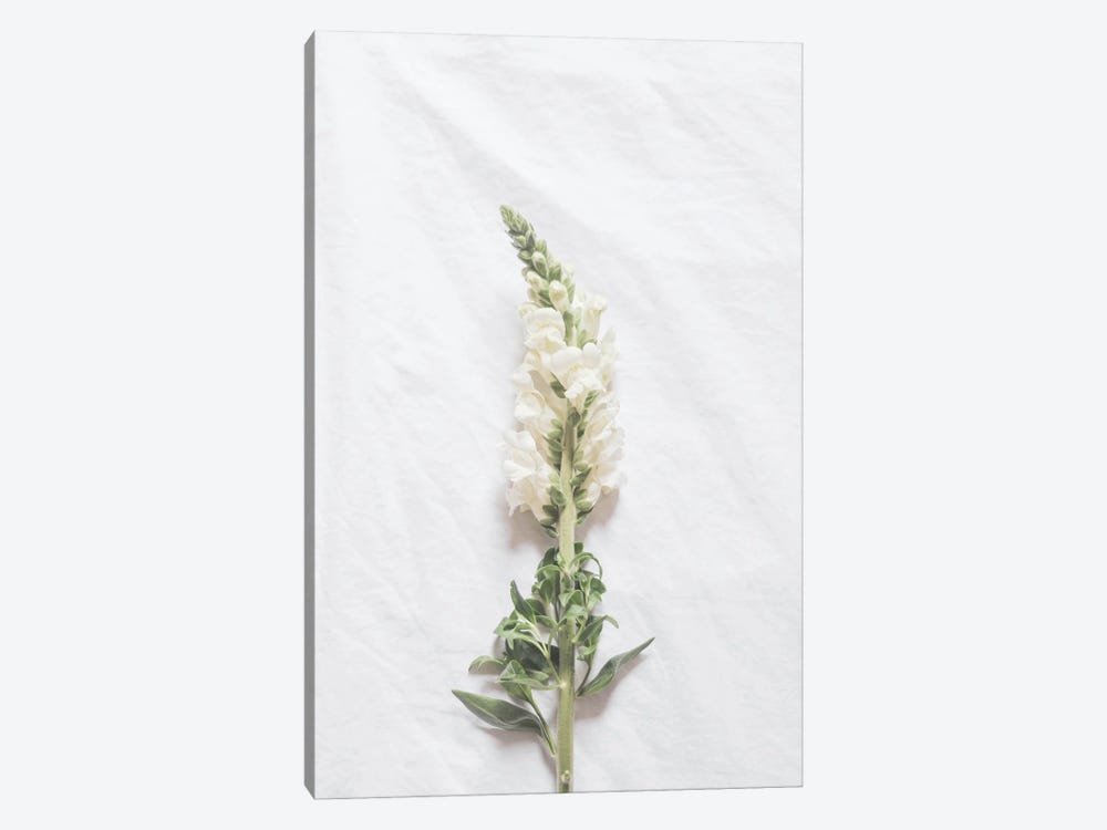 Minimalist White Flower by Grace Digital Art Co 1-piece Canvas Wall Art