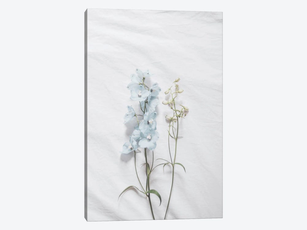 Minimalist Blue Flower by Grace Digital Art Co 1-piece Art Print