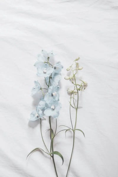 Grace Digital Art Co: Minimalist Blue Flower by Grace Digital Art Co