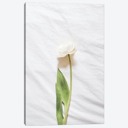 White Flower Canvas Print #RAB282} by Grace Digital Art Co Canvas Art