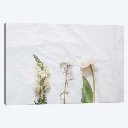 White Flowers Canvas Print #RAB283} by Grace Digital Art Co Canvas Art