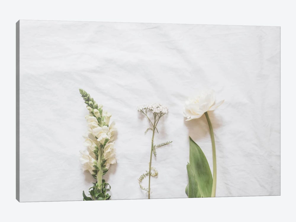 White Flowers by Grace Digital Art Co 1-piece Canvas Art Print