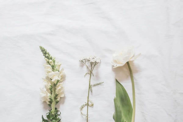Grace Digital Art Co: White Flowers by Grace Digital Art Co
