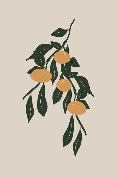 Oranges: Citrus III by Grace Digital Art Co