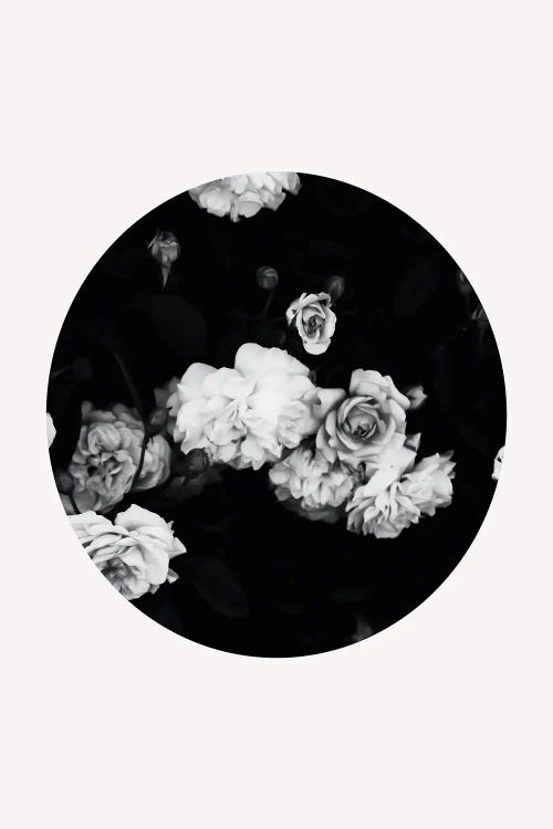 Dark Floral by Grace Digital Art Co wall art