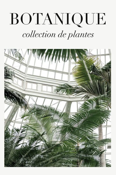 The Palm House Plants by Grace Digital Art Co art print