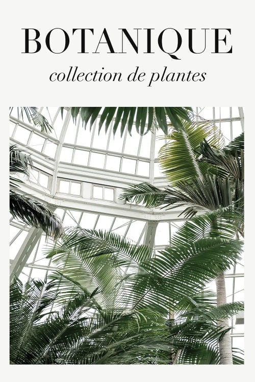 The Palm House Plants