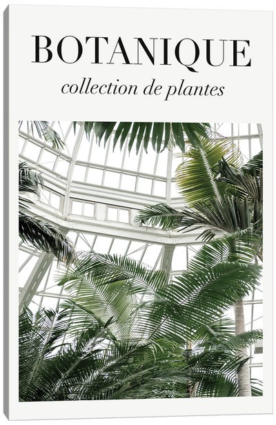 The Palm House Plants Canvas Art Print - Grace Digital Art Co