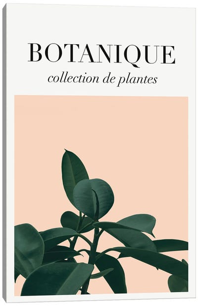 Botanical Art Canvas Art Print - French Country Décor
