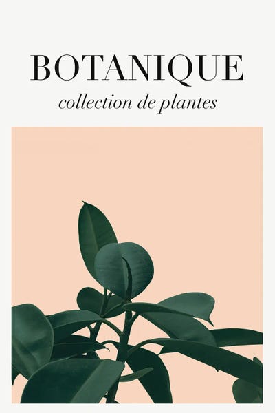French Country Décor: Botanical Art by Grace Digital Art Co