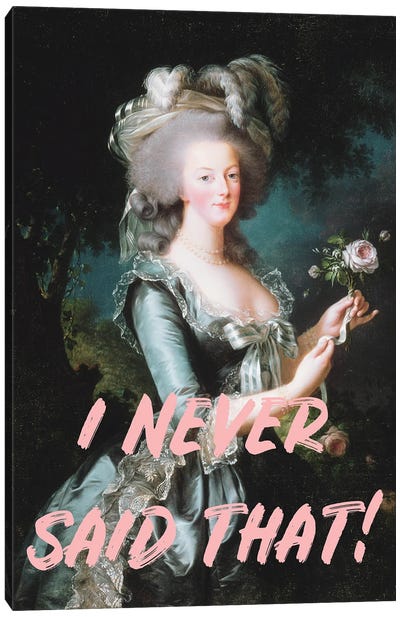 Marie Antoinette Altered Art Canvas Art Print - Funny Typography Art