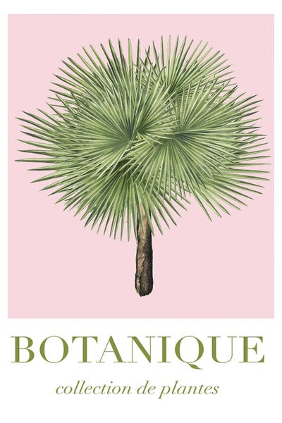 Botanical Collection by Grace Digital Art Co art print