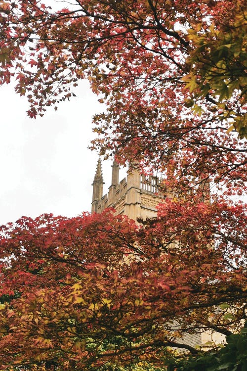 Oxford Fall