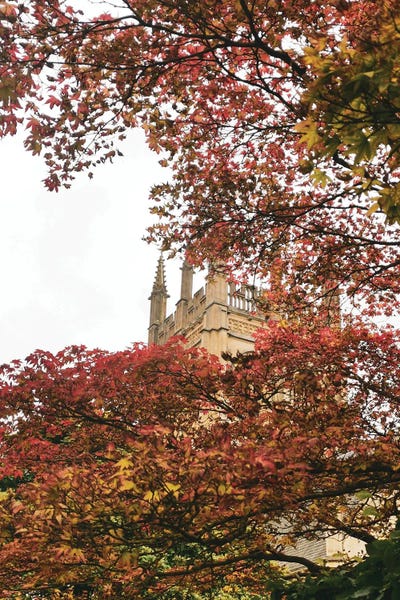 Grace Digital Art Co: Oxford Fall by Grace Digital Art Co
