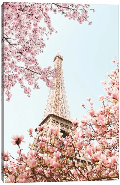 Eiffel Tower Blossoms Canvas Art Print - Grace Digital Art Co