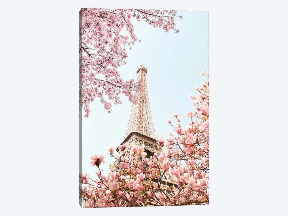 Eiffel Tower Blossoms by Grace Digital Art Co 1-piece Canvas Wall Art