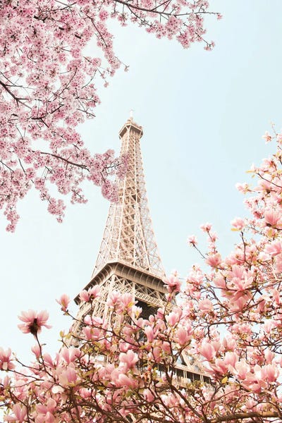 Blossoms: Eiffel Tower Blossoms by Grace Digital Art Co