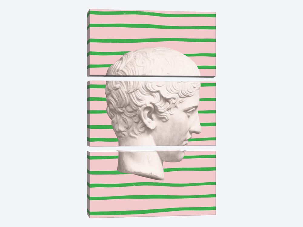 Pink And Green Emperor by Grace Digital Art Co 3-piece Art Print