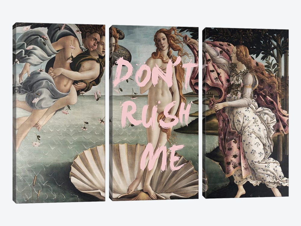 Don't Rush Me Venus by Grace Digital Art Co 3-piece Canvas Wall Art