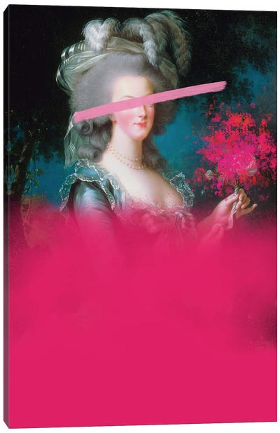 Marie Antoinette Spray Pain Canvas Art Print - Grace Digital Art Co