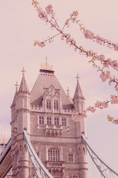 Blossoms: Pink Tower Bridge by Grace Digital Art Co