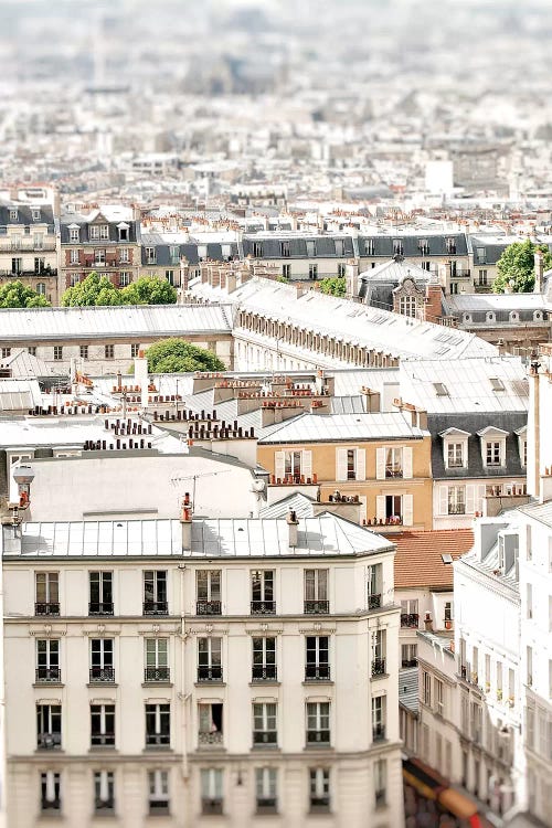 Paris Rooftops by Grace Digital Art Co canvas print