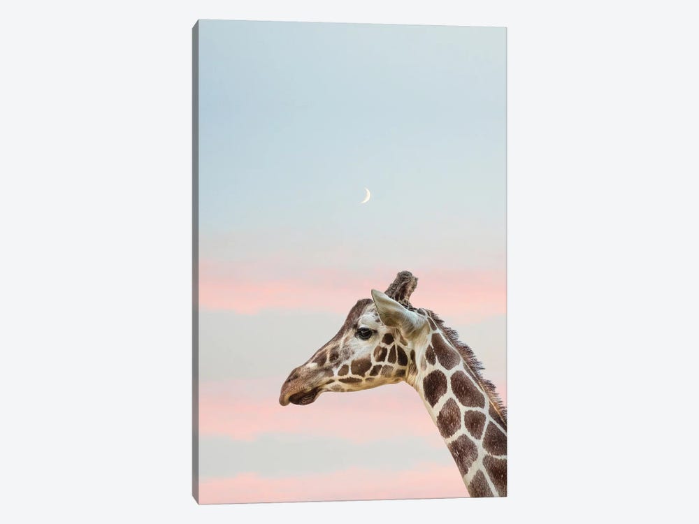 Sunset Giraffe II by Grace Digital Art Co 1-piece Canvas Art Print