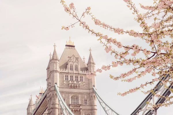 Tower Bridge: Tower Bridge Blooms by Grace Digital Art Co