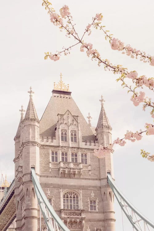 Tower Bridge Floral II