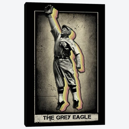 Grey Eagle Canvas Print #RAD267} by Radio Days Canvas Art Print