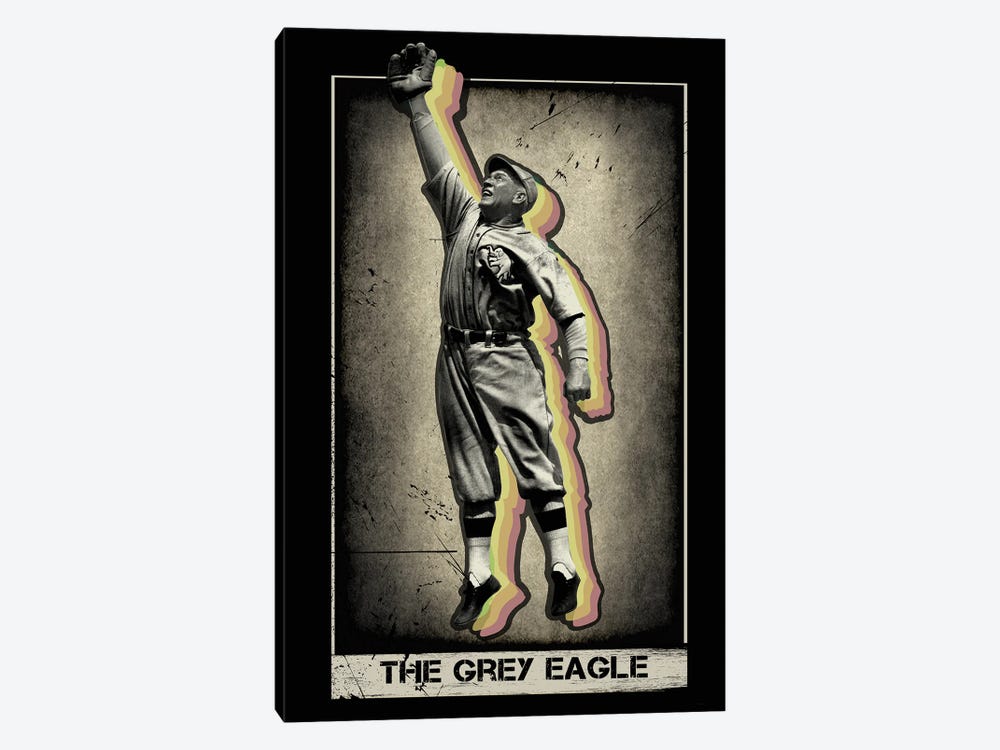 Grey Eagle by Radio Days 1-piece Art Print