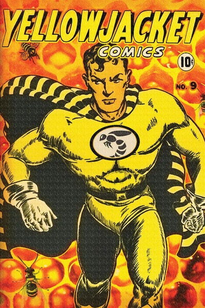 Yellow Jacket IX by Radio Days framed wall art