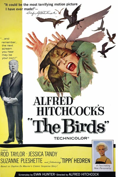 Vintage Movie Posters: The Birds by Radio Days
