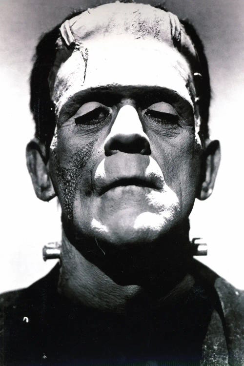 Frankenstein Head Shot by Radio Days wall art
