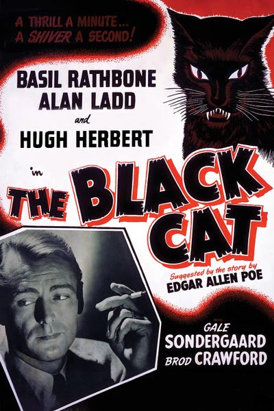 Literature: Black Cat IV by Radio Days